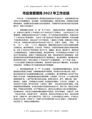 市应急管理局2022年工作总结