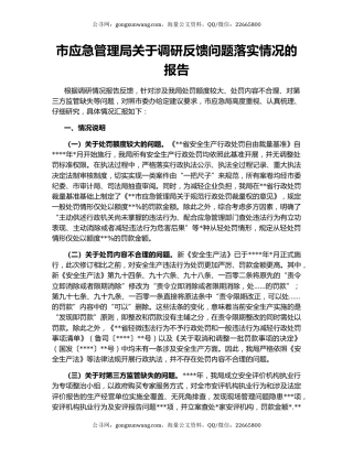 市应急管理局关于调研反馈问题落实情况的报告