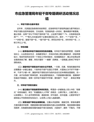 市应急管理局年轻干部专题调研活动情况总结
