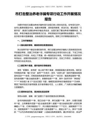 市打击整治养老诈骗专项行动工作开展情况报告