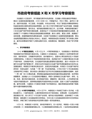 市政府考察组赴X和X市学习考察报告