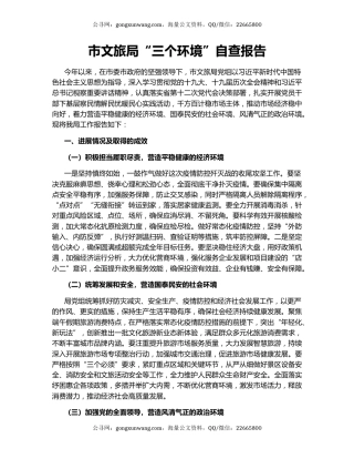 市文旅局“三个环境”自查报告