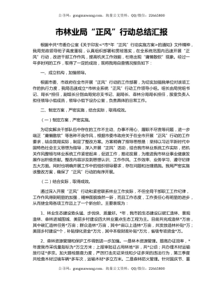 市林业局“正风”行动总结汇报