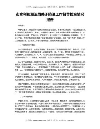 市水利和湖泊局关于防汛工作督导检查情况报告