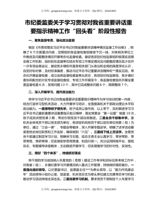 市纪委监委关于学习贯彻对我省重要讲话重要指示精神工作“回头看”阶段性报告