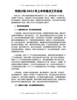 市统计局2022年上半年重点工作总结