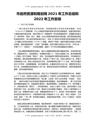 市自然资源和规划局2021年工作总结和2022年工作安排