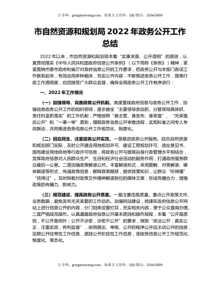 市自然资源和规划局2022年政务公开工作总结