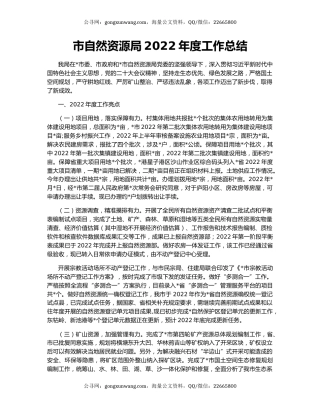 市自然资源局2022年度工作总结