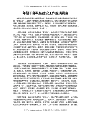 年轻干部队伍建设工作座谈发言