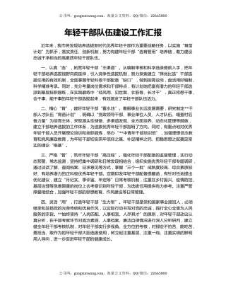 年轻干部队伍建设工作汇报