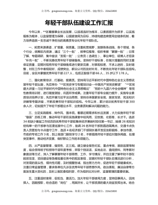 年轻干部队伍建设工作汇报（3）