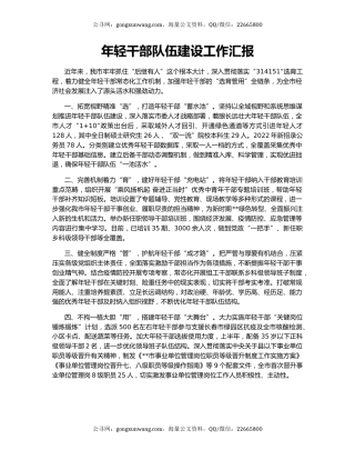 年轻干部队伍建设工作汇报（4）