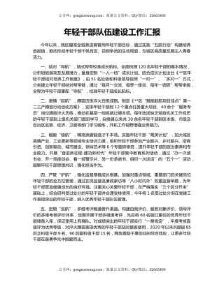 年轻干部队伍建设工作汇报（5）