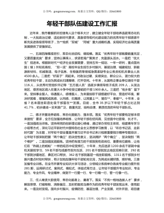 年轻干部队伍建设工作汇报（7）