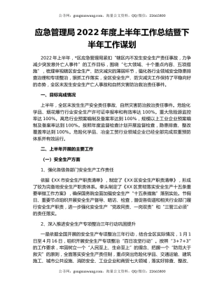 应急管理局2022年度上半年工作总结暨下半年工作谋划