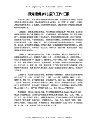 抓党建促乡村振兴工作汇报