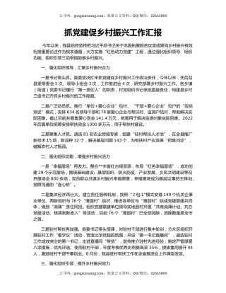 抓党建促乡村振兴工作汇报（11）