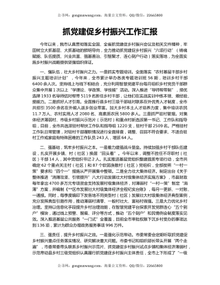 抓党建促乡村振兴工作汇报（2）