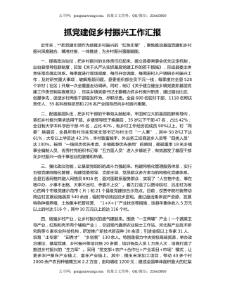 抓党建促乡村振兴工作汇报（3）