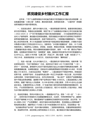 抓党建促乡村振兴工作汇报（4）