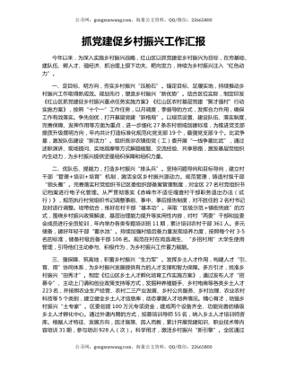 抓党建促乡村振兴工作汇报（5）