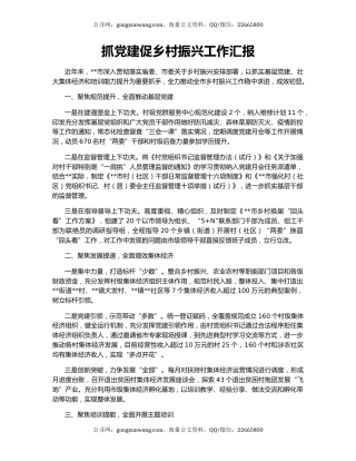 抓党建促乡村振兴工作汇报（6）