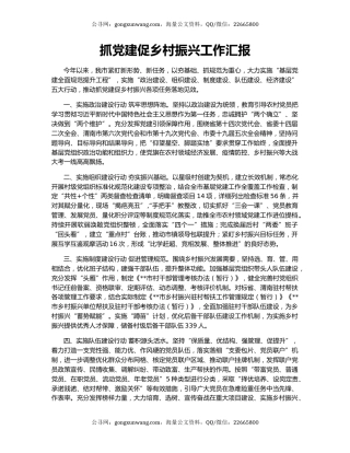 抓党建促乡村振兴工作汇报（7）