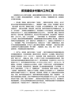 抓党建促乡村振兴工作汇报（9）