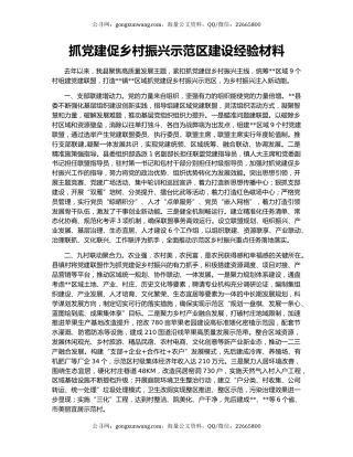 抓党建促乡村振兴示范区建设经验材料