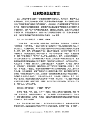 挂职培训总结发言