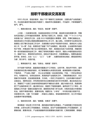 挂职干部座谈交流发言