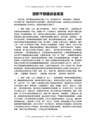 挂职干部座谈会发言