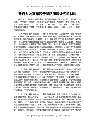 政府办公室年轻干部队伍建设经验材料