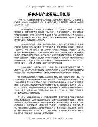 数字乡村产业发展工作汇报