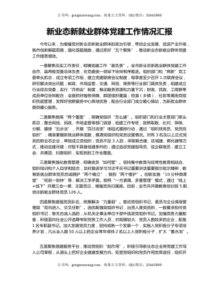 新业态新就业群体党建工作情况汇报