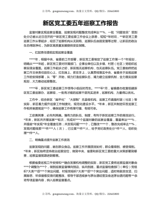 新区党工委五年巡察工作报告