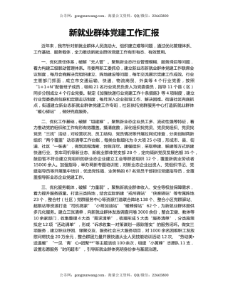 新就业群体党建工作汇报（2）