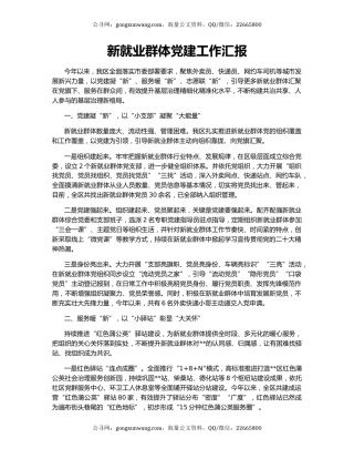 新就业群体党建工作汇报（3）