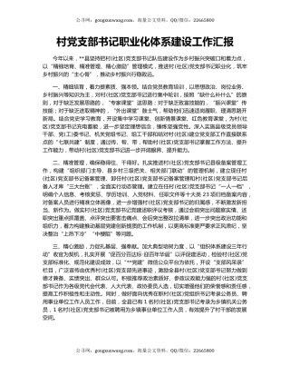 村党支部书记职业化体系建设工作汇报