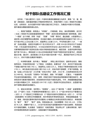 村干部队伍建设工作情况汇报