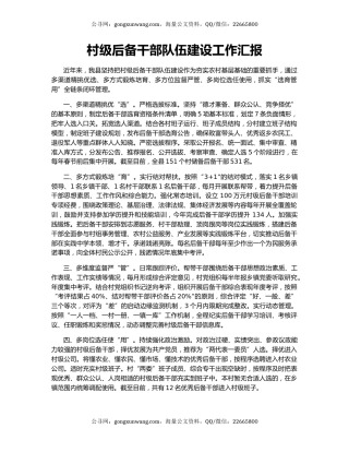 村级后备干部队伍建设工作汇报