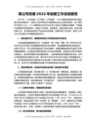某公司党委2022年巡察工作总结报告