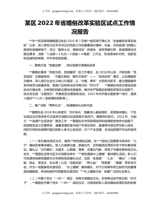 某区2022年省婚俗改革实验区试点工作情况报告