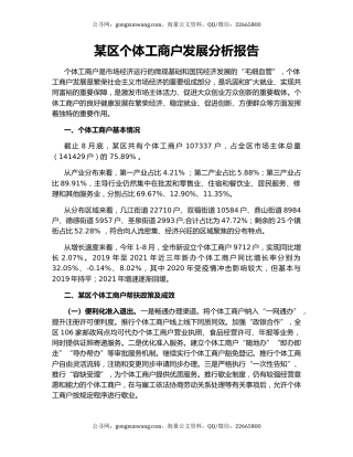 某区个体工商户发展分析报告