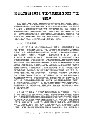 某县公安局2022年工作总结及2023年工作谋划