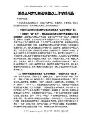 某县正风肃纪和巡视整改工作总结报告