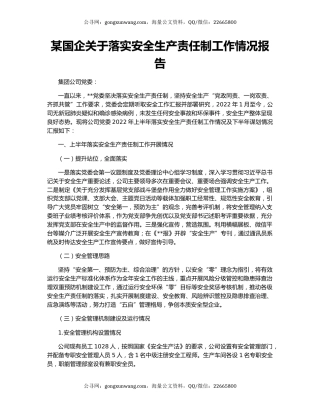 某国企关于落实安全生产责任制工作情况报告