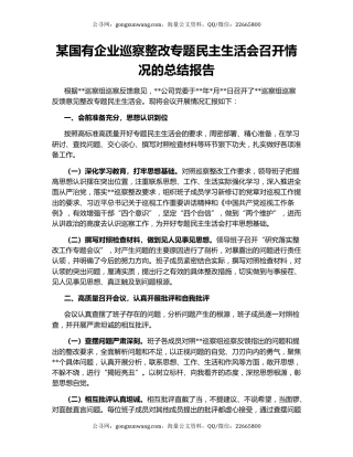 某国有企业巡察整改专题民主生活会召开情况的总结报告