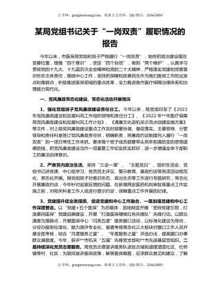 某局党组书记关于“一岗双责”履职情况的报告